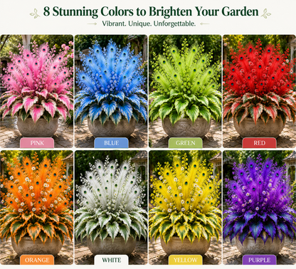 🌿🔥 Peacock Flame Hosta – Stunning Colors That Brighten Any Space 🦚-TOP1