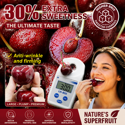 🍒 Premium Cherries – Nature’s Sweetest Delight-Rush