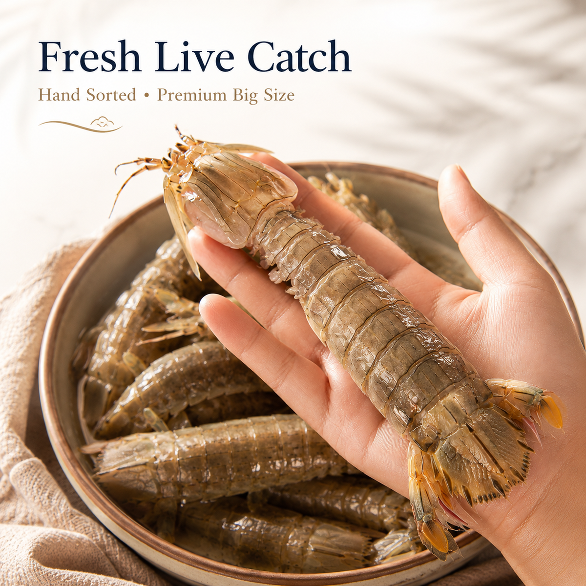 🔥Spicy Mantis Shrimp – Large, Meaty, Rich in Roe & Ready to Eat-H