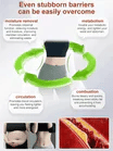 Mulberry Leaf Double Melon Tea - Natural Health Beverage 🍃🍵-HG