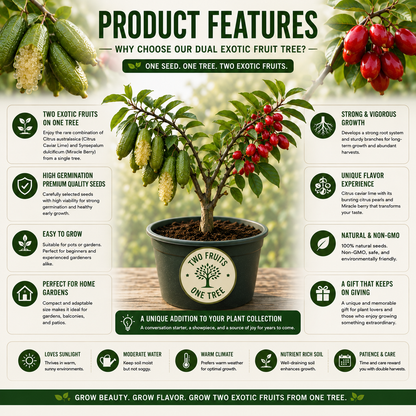 Grow Two Rare Fruits from One Garden Kit –🌿Citrus australasica🍋 & 🌱Synsepalum dulcificum🍇-Rush